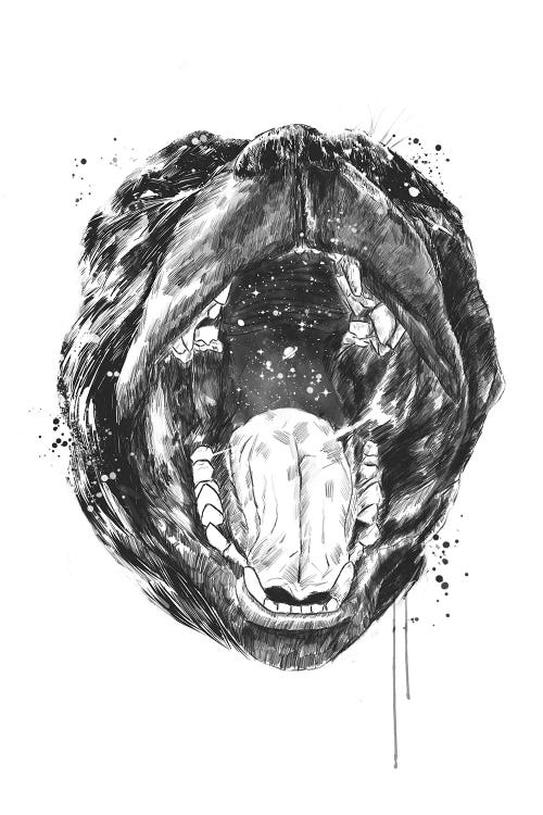Birth Of The Universe by Balazs Solti wall art