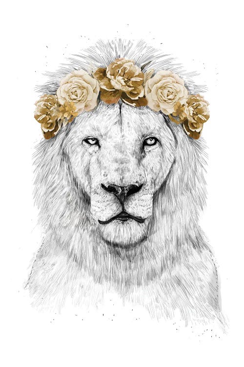 Festival Lion II