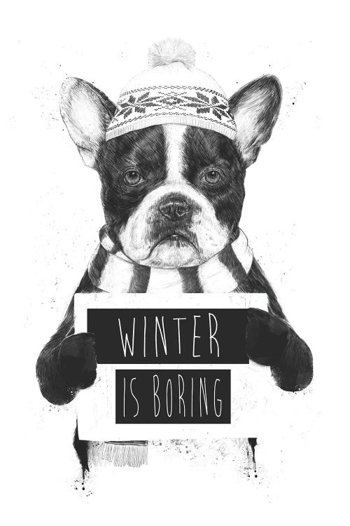 Winter Is Boring