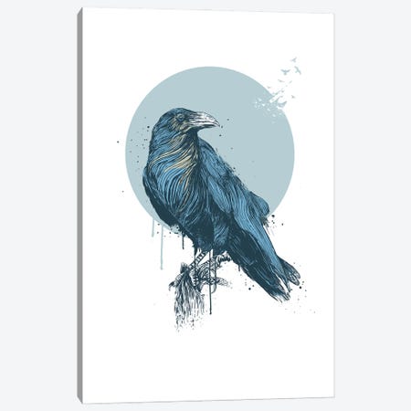 Blue Crow Canvas Print #BSI238} by Balazs Solti Canvas Art Print