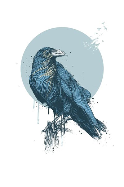 Crows: Blue Crow by Balazs Solti