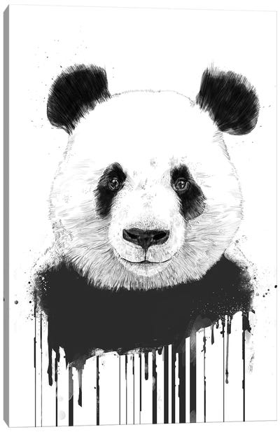 Graffiti Panda Canvas Art Print - Balazs Solti