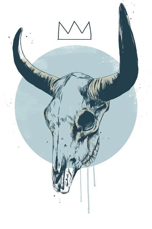 Bull Skull