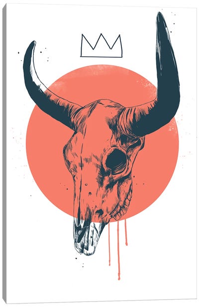 Bull Skull II Canvas Art Print - Balazs Solti