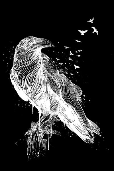 Born To Be Free II by Balazs Solti art print