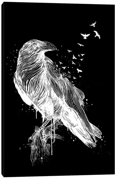 Born To Be Free II Canvas Art Print - Buzzard & Hawk Art