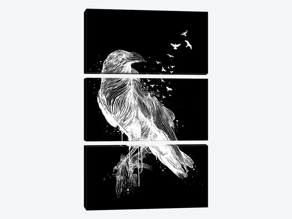 Born To Be Free II by Balazs Solti 3-piece Canvas Art