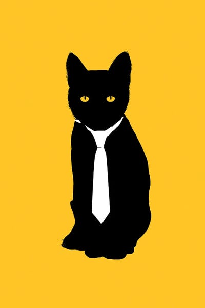 Celery - Canvas Prints: Office Cat by Balazs Solti