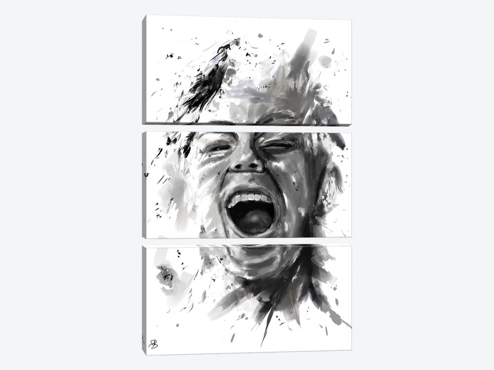 Anger by Balazs Solti 3-piece Canvas Art