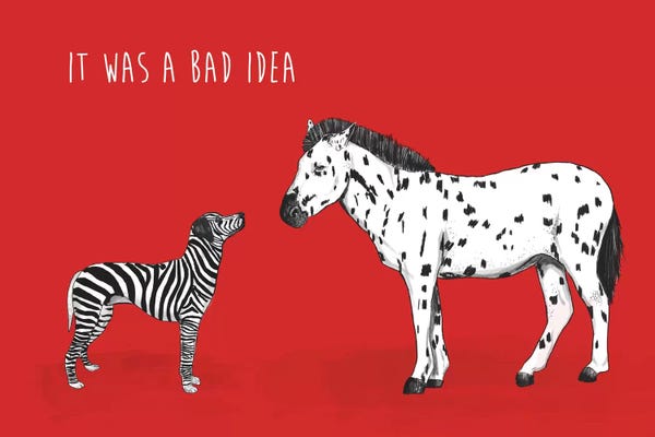Zebras: Bad Idea by Balazs Solti
