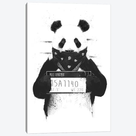 Bad Panda Canvas Print #BSI28} by Balazs Solti Canvas Print