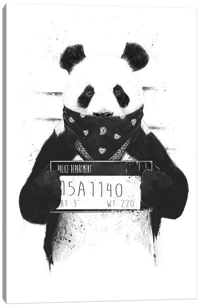 Bad Panda Canvas Art Print - Black & White Graphics & Illustrations