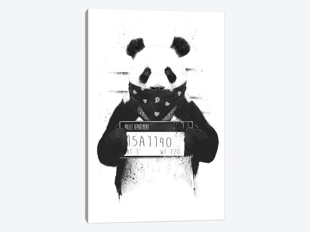 Bad Panda by Balazs Solti 1-piece Canvas Art