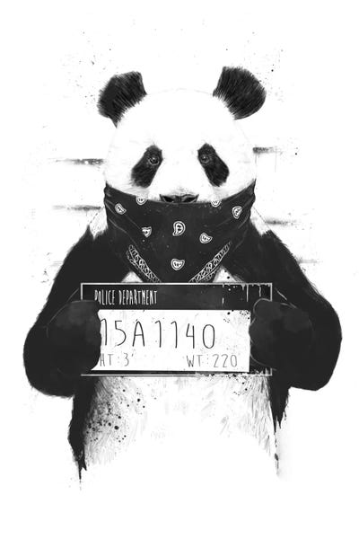Bears: Bad Panda by Balazs Solti