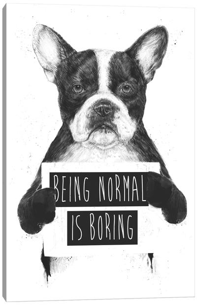Being Normal Is Boring Canvas Art Print - Black & White Animal Art