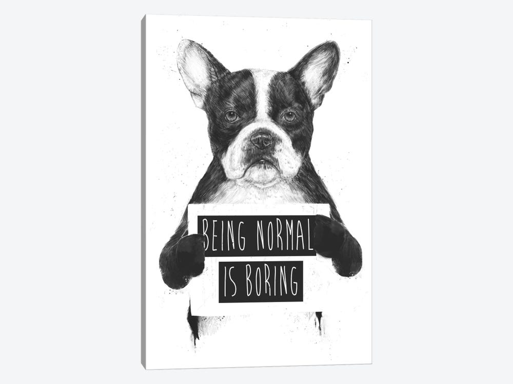 Being Normal Is Boring by Balazs Solti 1-piece Canvas Artwork