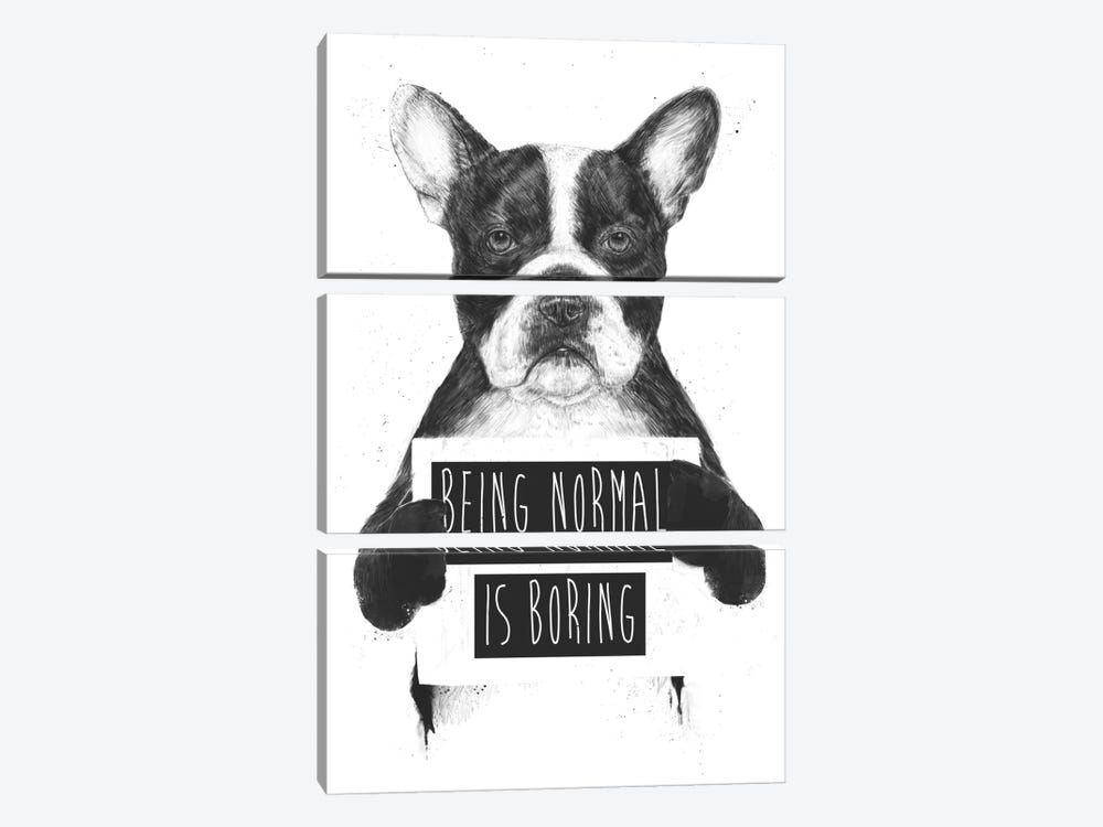Being Normal Is Boring by Balazs Solti 3-piece Canvas Artwork