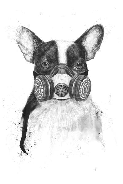 Terriers: Big City Life by Balazs Solti