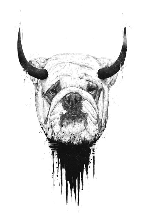 Bulldog