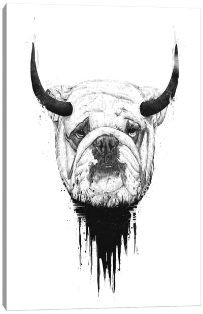 Bulldog Canvas Art Print - Balazs Solti