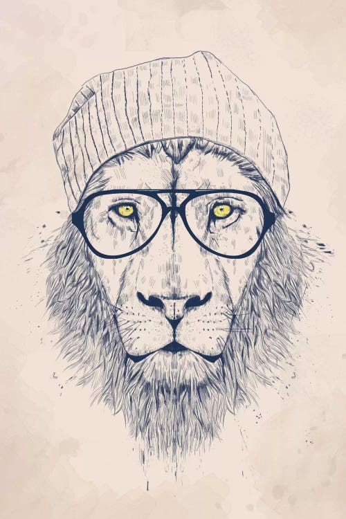 Cool Lion
