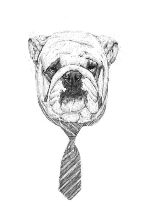 Cooldog