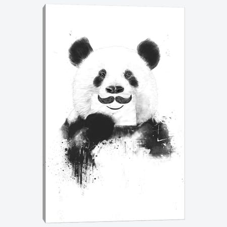 Funny Panda Canvas Print #BSI55} by Balazs Solti Art Print