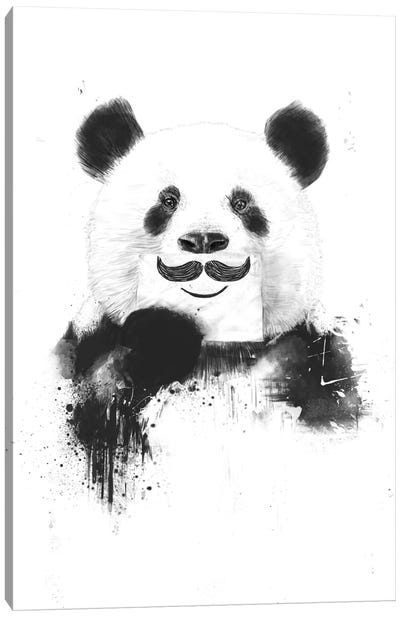 Funny Panda Canvas Art Print - Black & White Animal Art