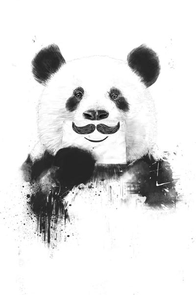 Bears: Funny Panda by Balazs Solti