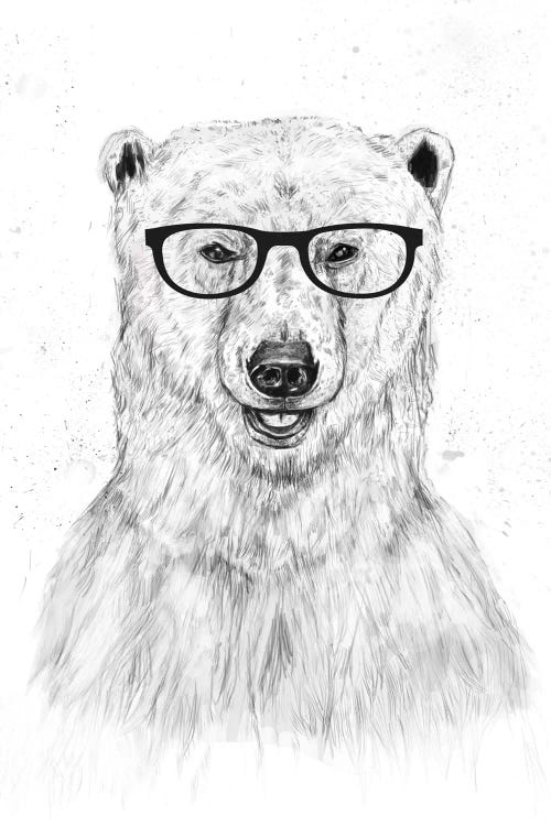 Geek Bear