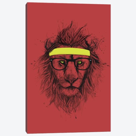 Hipster Lion (Red) Canvas Print #BSI62} by Balazs Solti Art Print