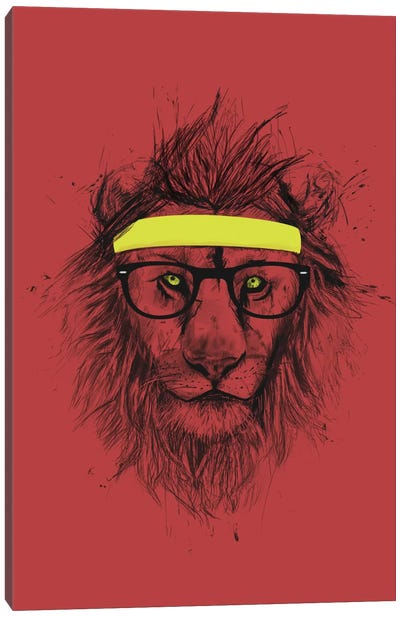Hipster Lion (Red) Canvas Art Print - Balazs Solti
