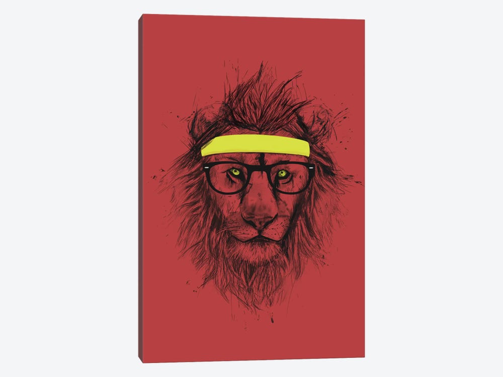 Hipster Lion (Red) by Balazs Solti 1-piece Canvas Artwork