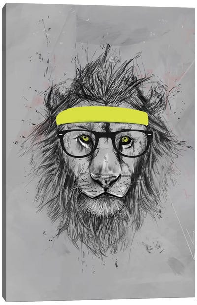 Hipster Lion Canvas Art Print - Balazs Solti