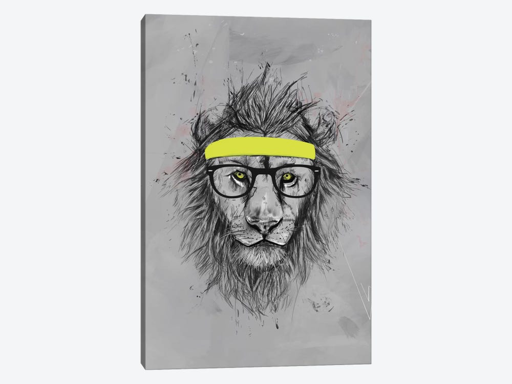 Hipster Lion by Balazs Solti 1-piece Canvas Print