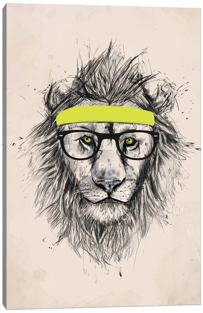 Hipster Lion (Light Version) Canvas Art Print - Balazs Solti