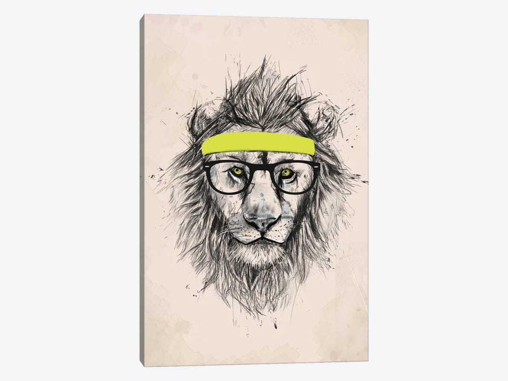 Hipster Lion (Light Version) by Balazs Solti 1-piece Canvas Art