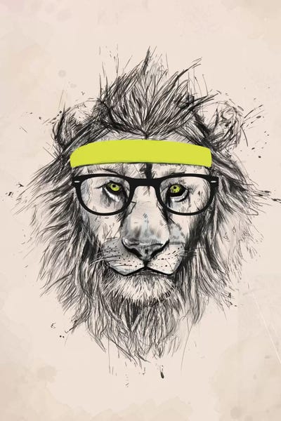 Lions: Hipster Lion (Light Version) by Balazs Solti