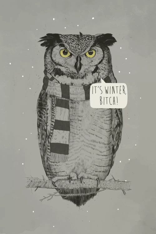 It's Winter, Bitch!