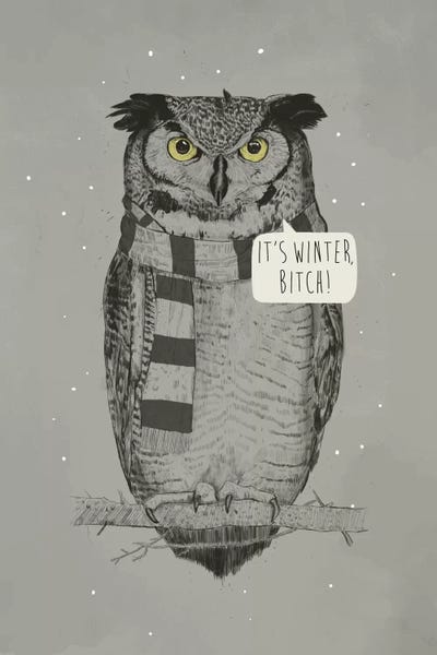 Balazs Solti: It's Winter, Bitch! by Balazs Solti
