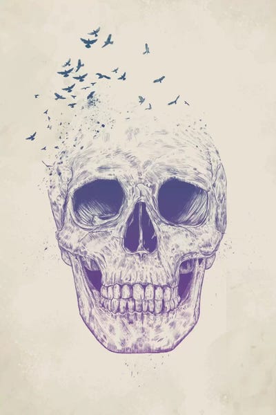 Skulls: Let Them Fly by Balazs Solti
