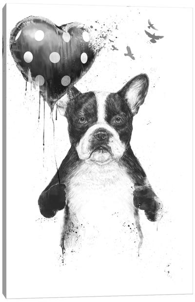 My Heart Goes Boom Canvas Art Print - French Bulldog Art