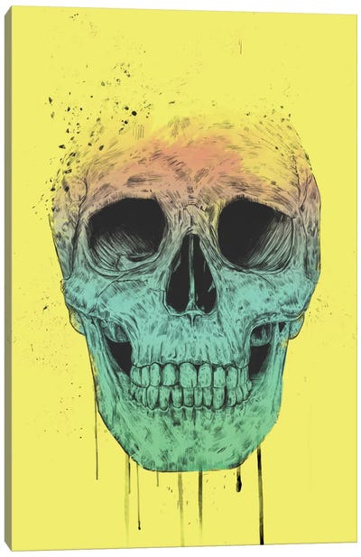 Pop Art Skull Canvas Art Print - Balazs Solti