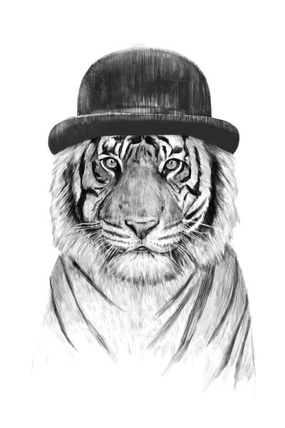 Tigers: Welcome To The Jungle by Balazs Solti