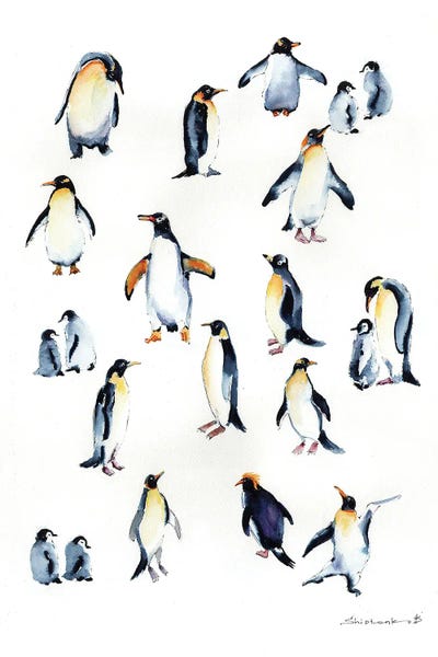 Bogdan Shiptenko: Penguins Dance by Bogdan Shiptenko
