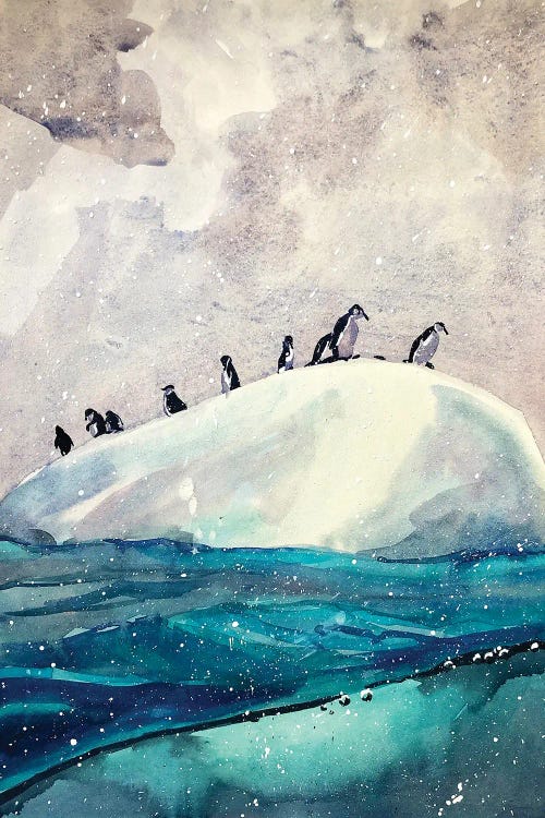 Antarctic Penguins by Bogdan Shiptenko wall art