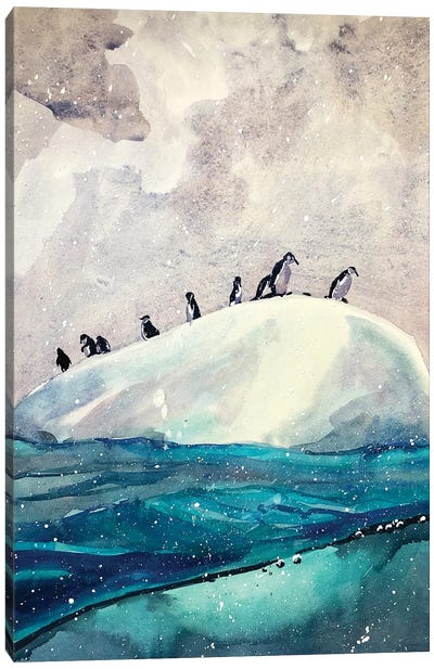 Antarctic Penguins Canvas Art Print - Penguin Art