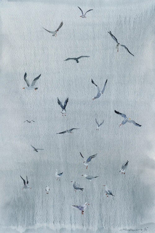 Seagulls On Gray