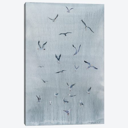 Seagulls On Gray Canvas Print #BSK73} by Bogdan Shiptenko Canvas Art