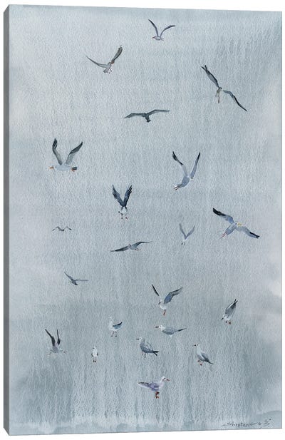 Seagulls On Gray Canvas Art Print - Bogdan Shiptenko